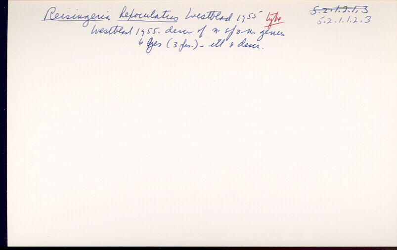 index card