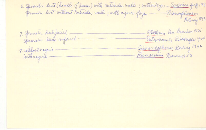 index card