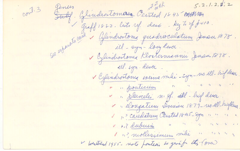 index card