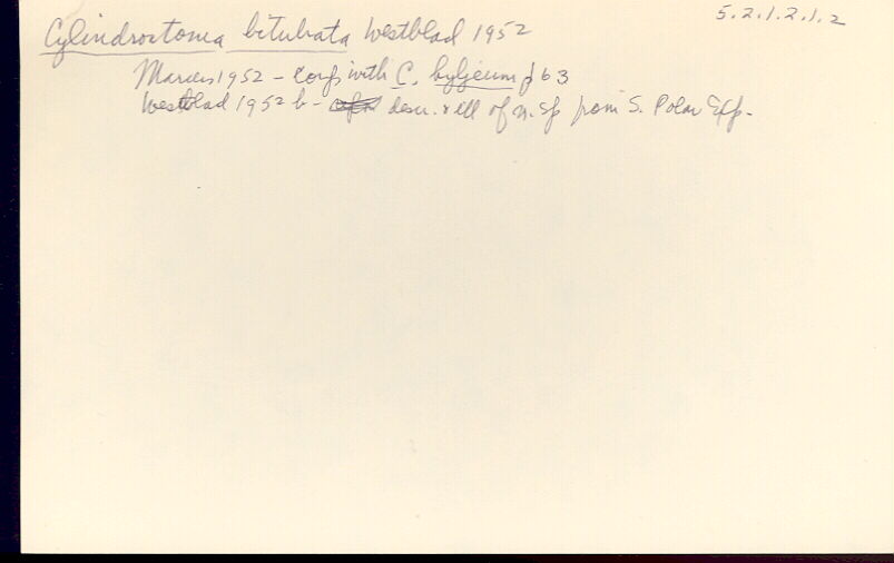 index card