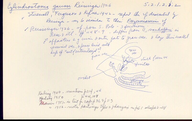 index card