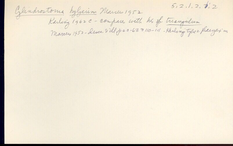 index card