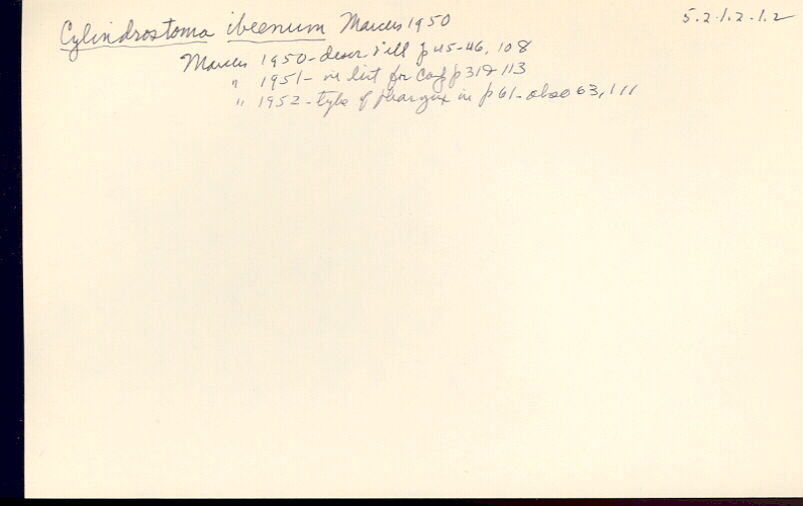 index card