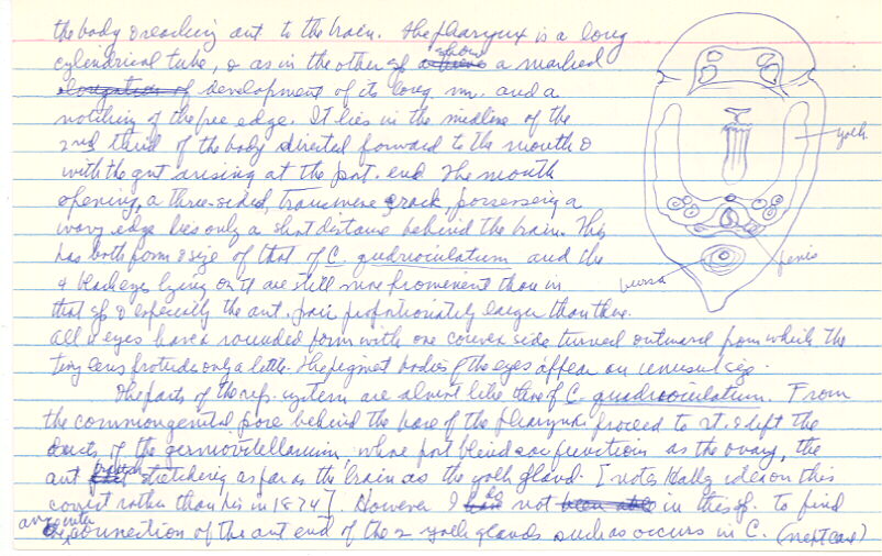 index card