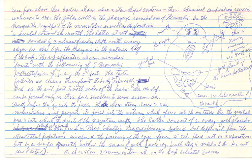index card