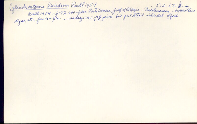 index card