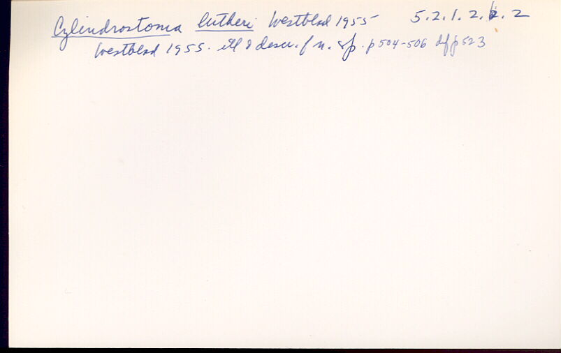 index card