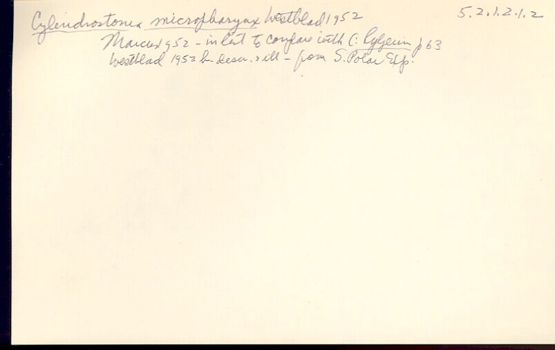 index card