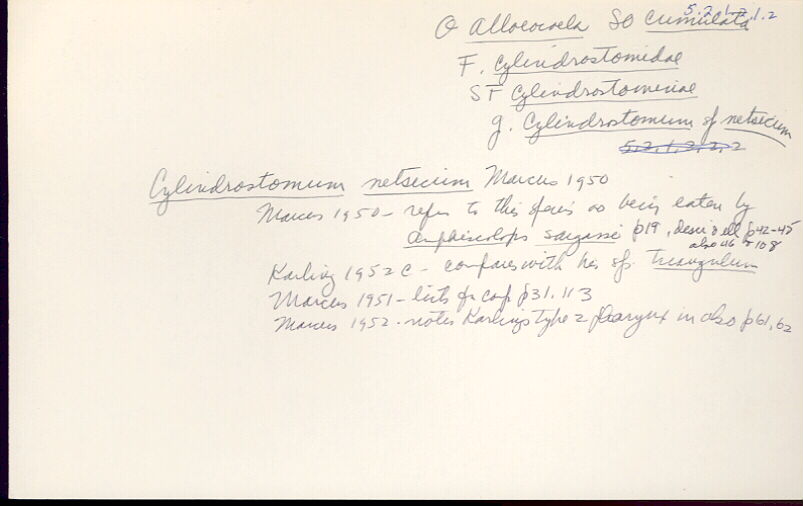 index card
