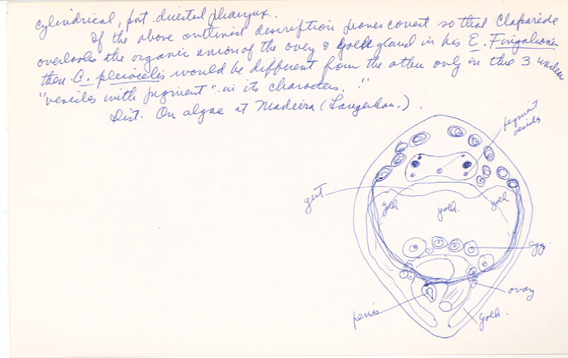 index card