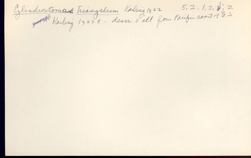 index card