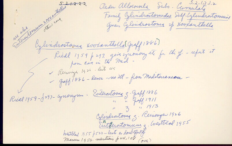 index card
