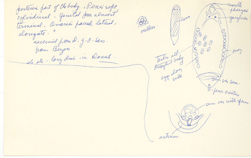 index card