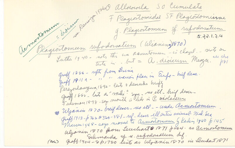 index card