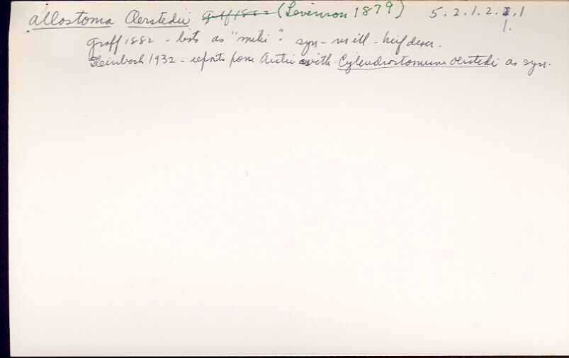 index card