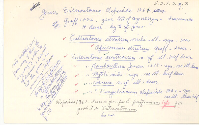 index card