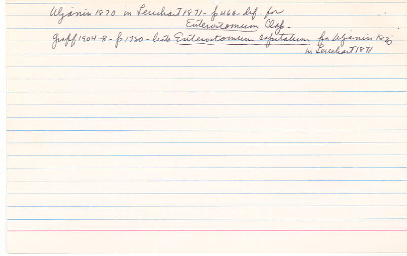 index card