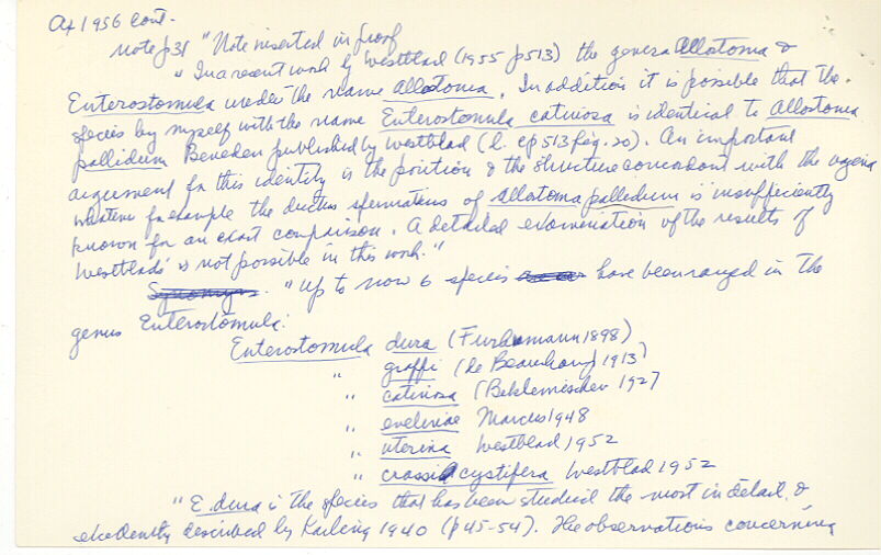 index card