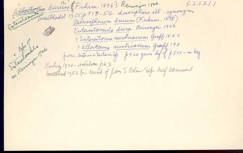 index card