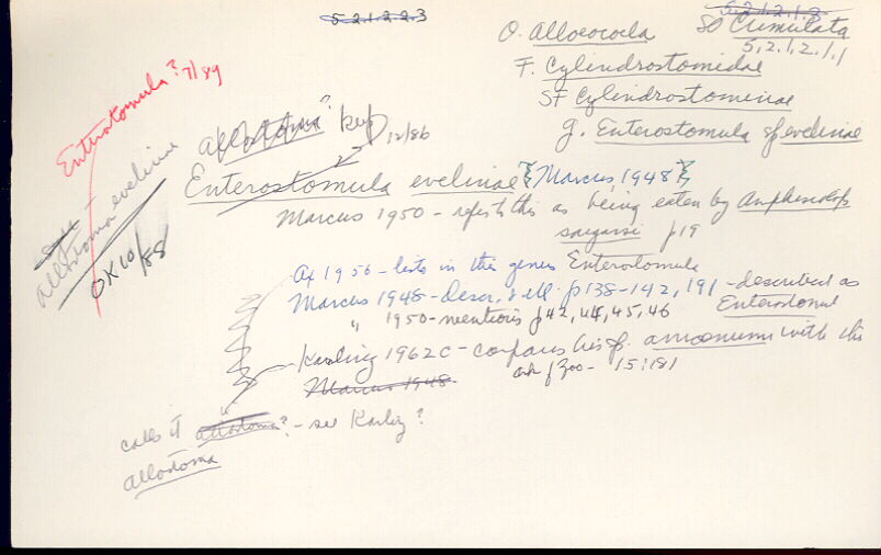 index card