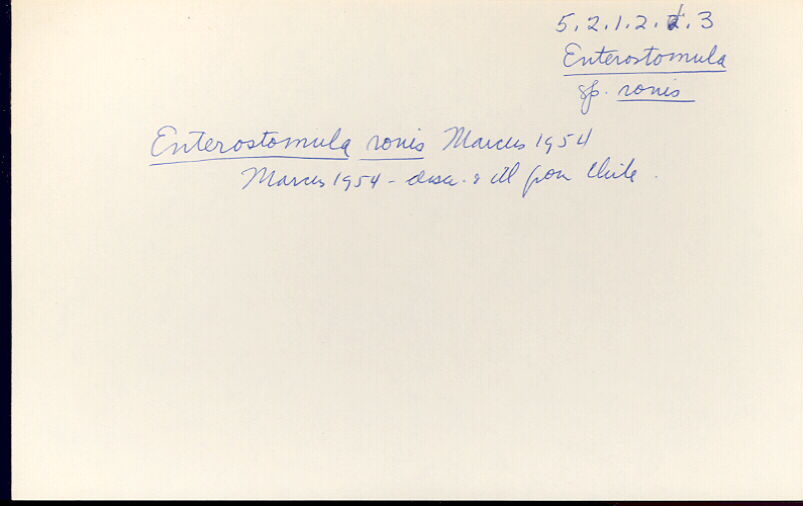 index card