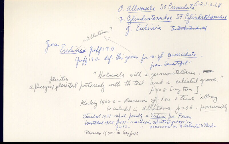 index card