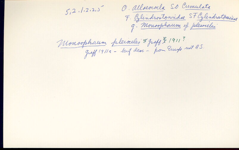 index card
