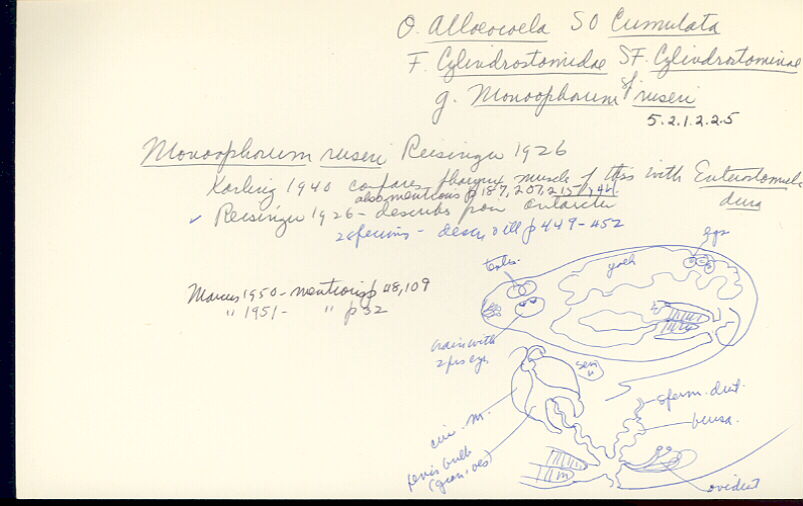 index card