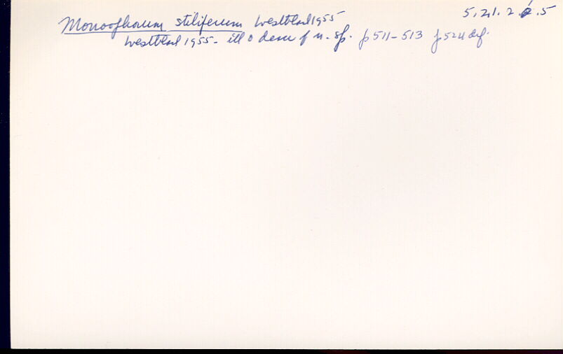 index card