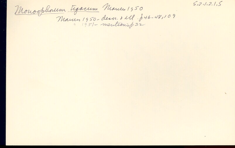 index card