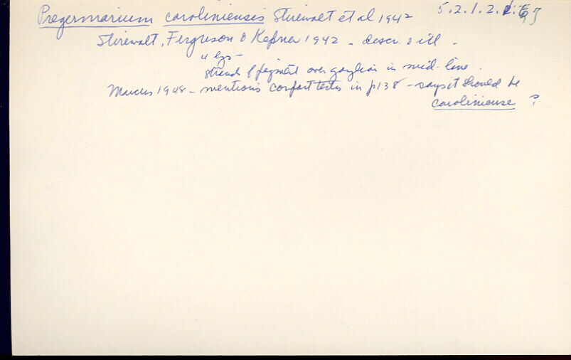index card