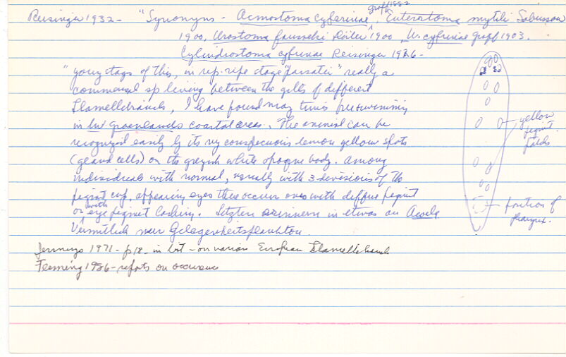 index card
