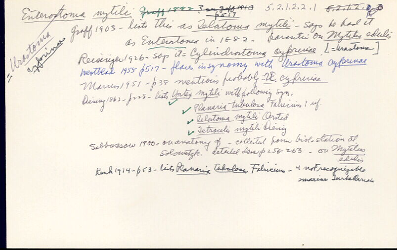 index card