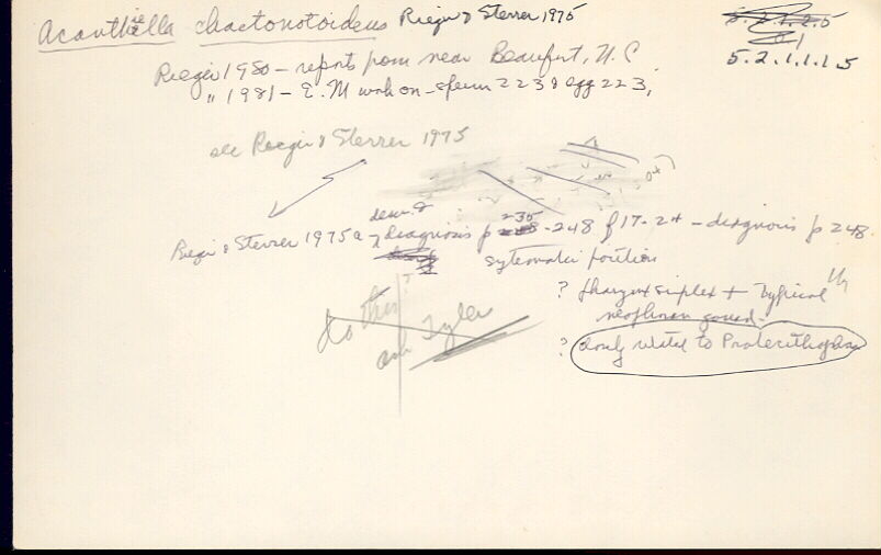 index card