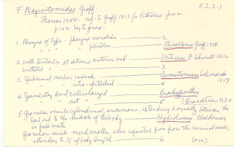 index card