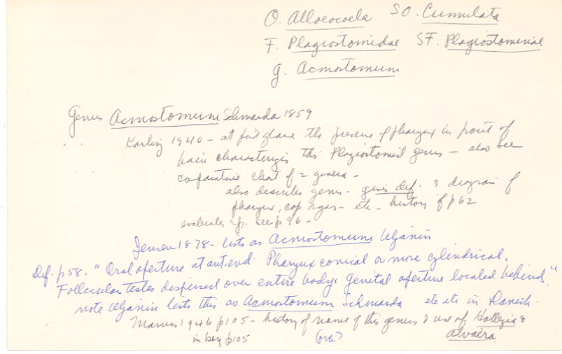 index card