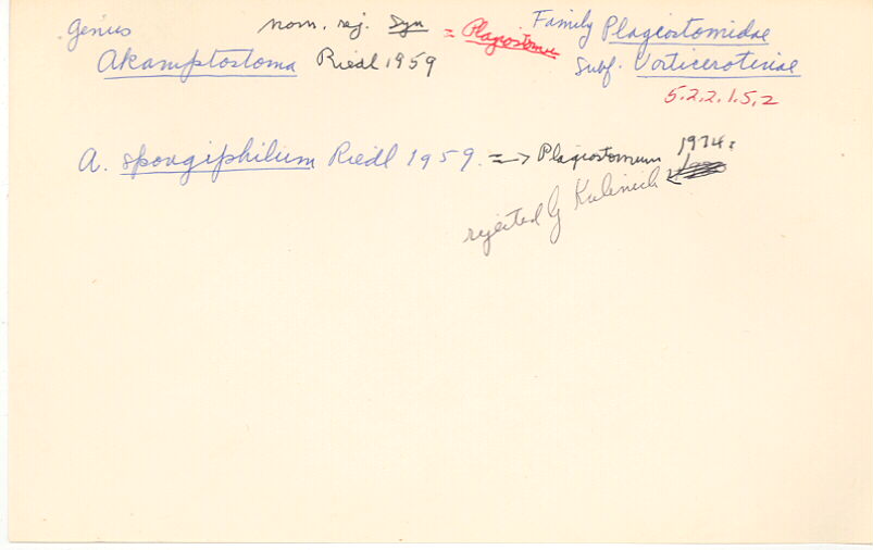 index card