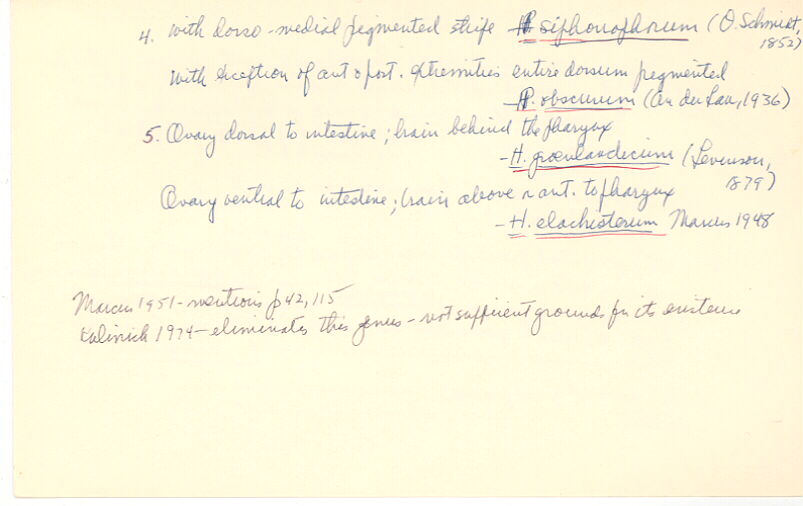 index card