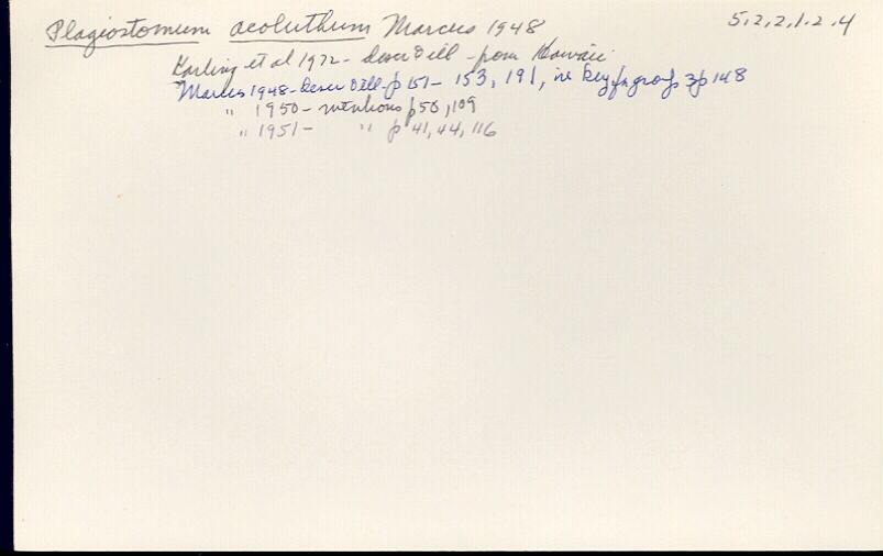 index card
