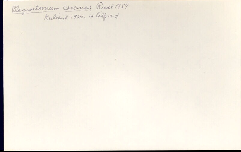 index card
