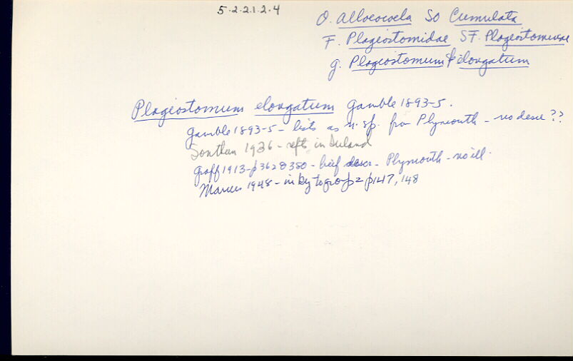 index card