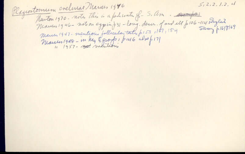 index card