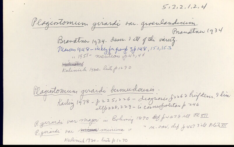 index card