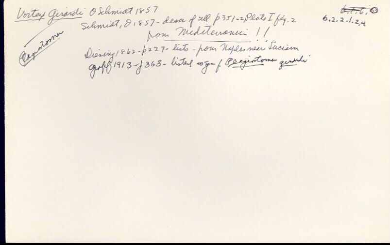 index card