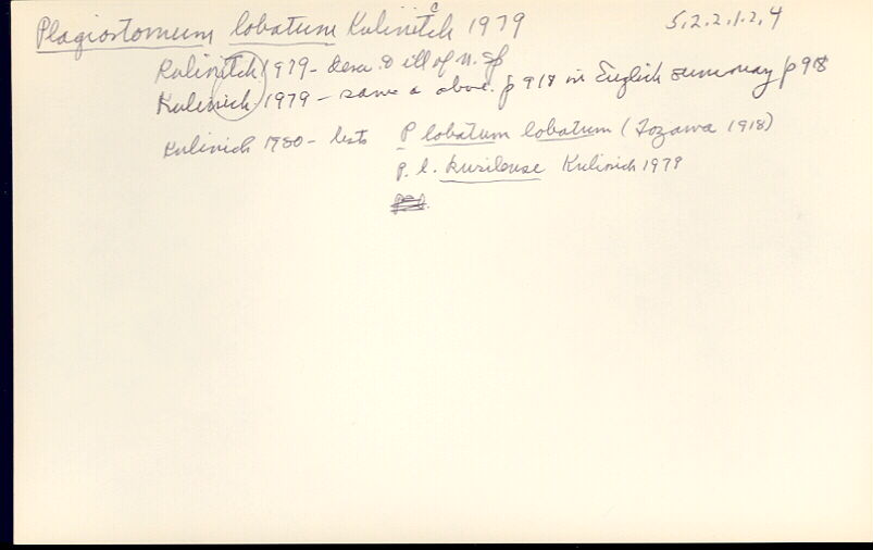index card