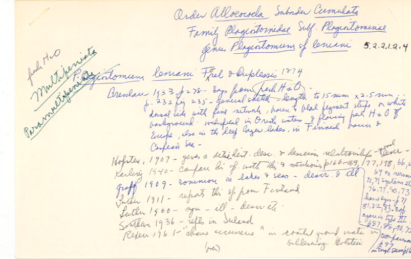 index card