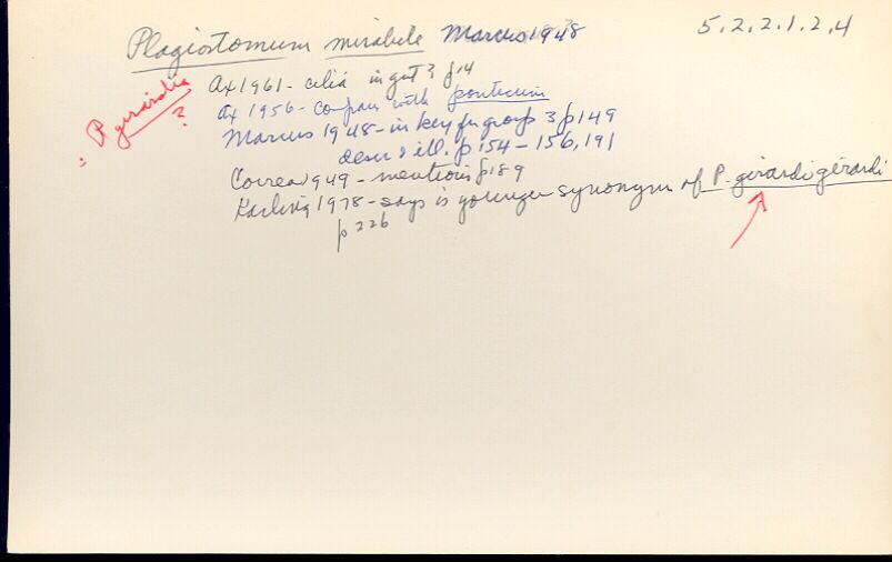 index card