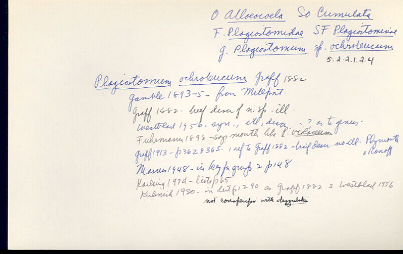 index card