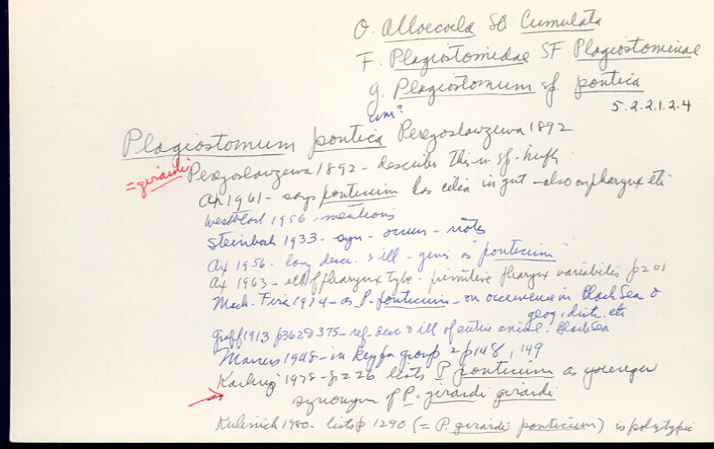 index card