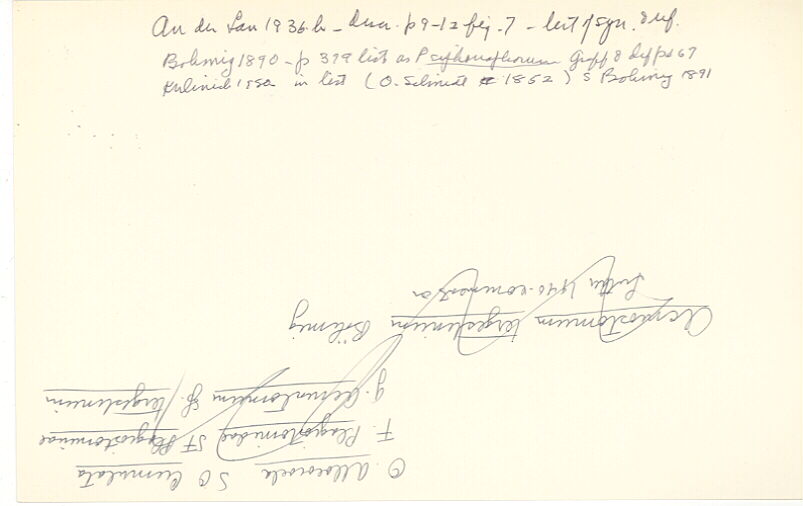 index card